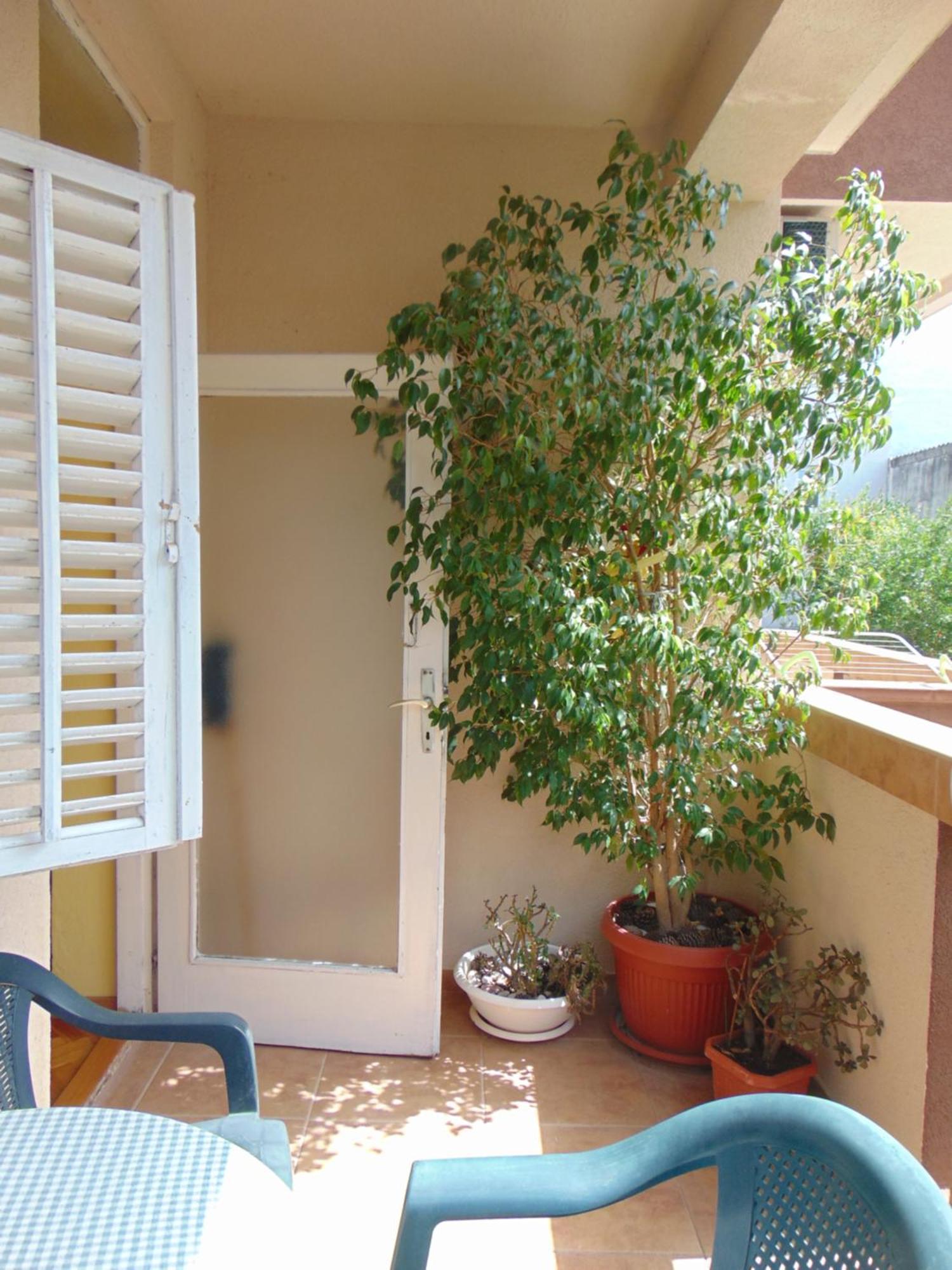 Guest House Ivan Budua Esterno foto